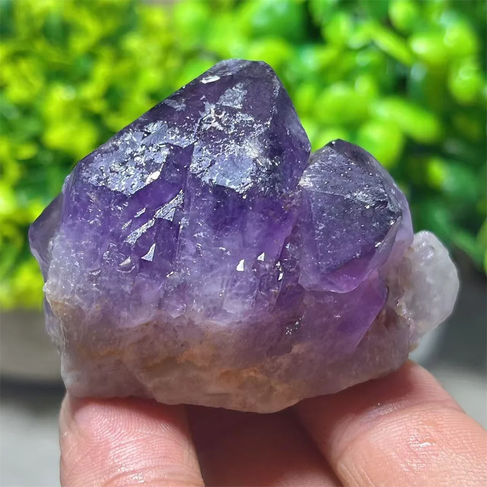 Amethyst Cluster Specimen Raw Stone Quartz Crystal Natural Healing Gemstone Mineral Decoration Energy Room Gift Home
Amethyst Cluster Specimen Raw Stone Quartz Crystal Natural Healing Gemstone Mineral Decoration Energy Room Gift Home