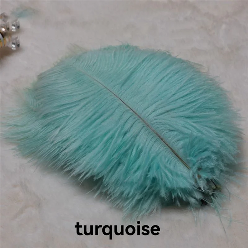 A74G-20-25Cm Ostrich Feathers Stage Performances Feathers Handmade DIY Jewelry Decorations Ostrich Feathers
A74G-20-25Cm Ostrich Feathers Stage Performances Feathers Handmade DIY Jewelry Decorations Ostrich Feathers