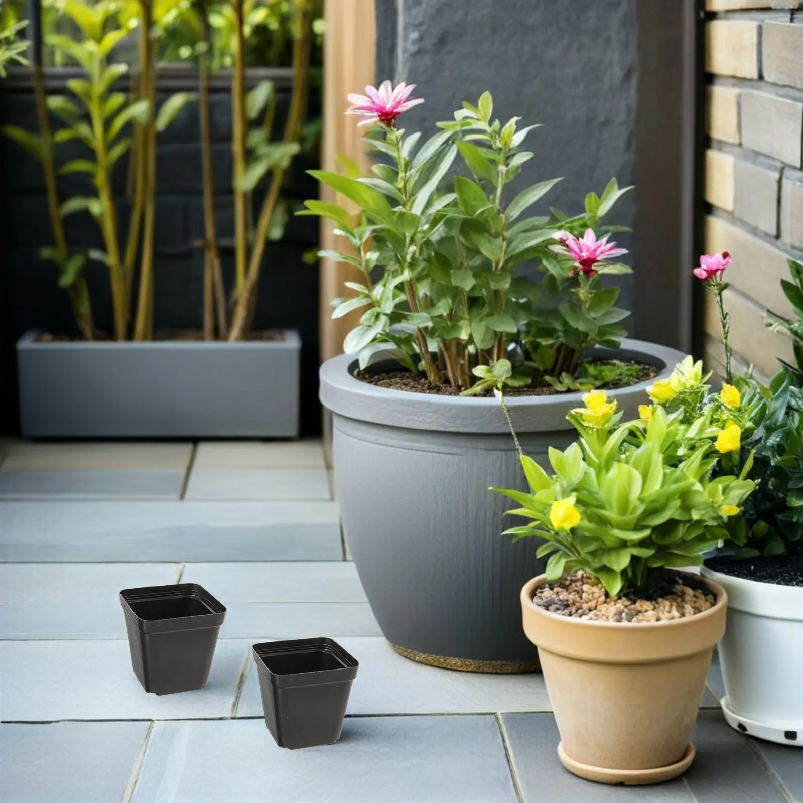 100Pcs Black Square Plastic Plant Nursery Pots with Drainage Holes for Indoor Succulents Flowers Vegetables Fast Germination
100Pcs Black Square Plastic Plant Nursery Pots with Drainage Holes for Indoor Succulents Flowers Vegetables Fast Germination