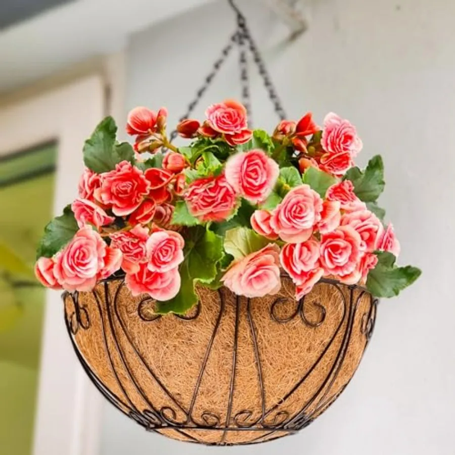 Outdoor hanging baskets for garden balcony decor: 20-inch black metal wire planters with coco liner, modern round design, easy-
Outdoor hanging baskets for garden balcony decor: 20-inch black metal wire planters with coco liner, modern round design, easy-
