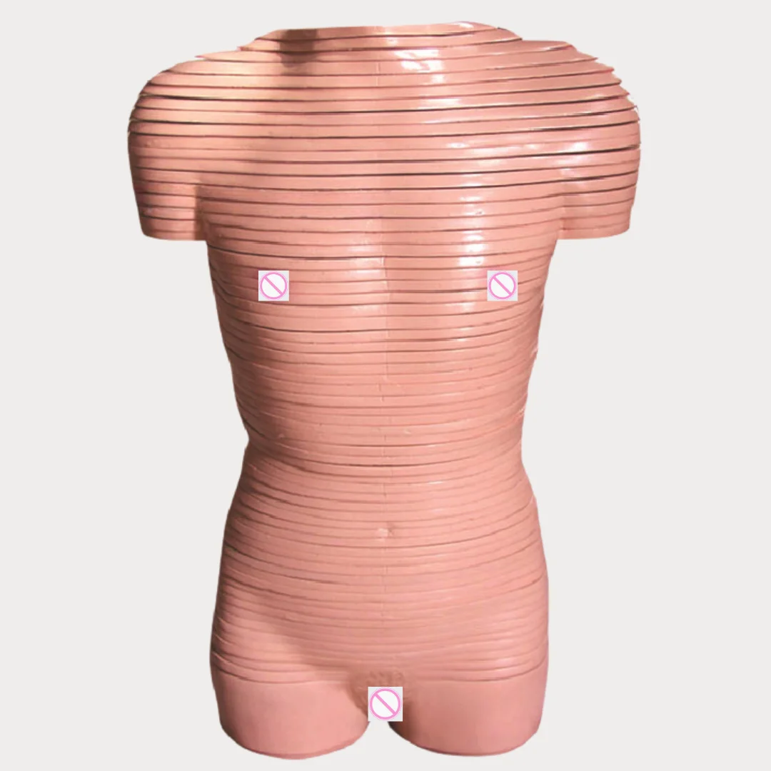 Человеческий торс, транссексуальная томографическая анатомическая модель, медицинская наука, голова ствола человека, поперечная секция, анатомический фантомный чай
Человеческий торс, транссексуальная томографическая анатомическая модель, медицинская наука, голова ствола человека, поперечная секция, анатомический фантомный чай