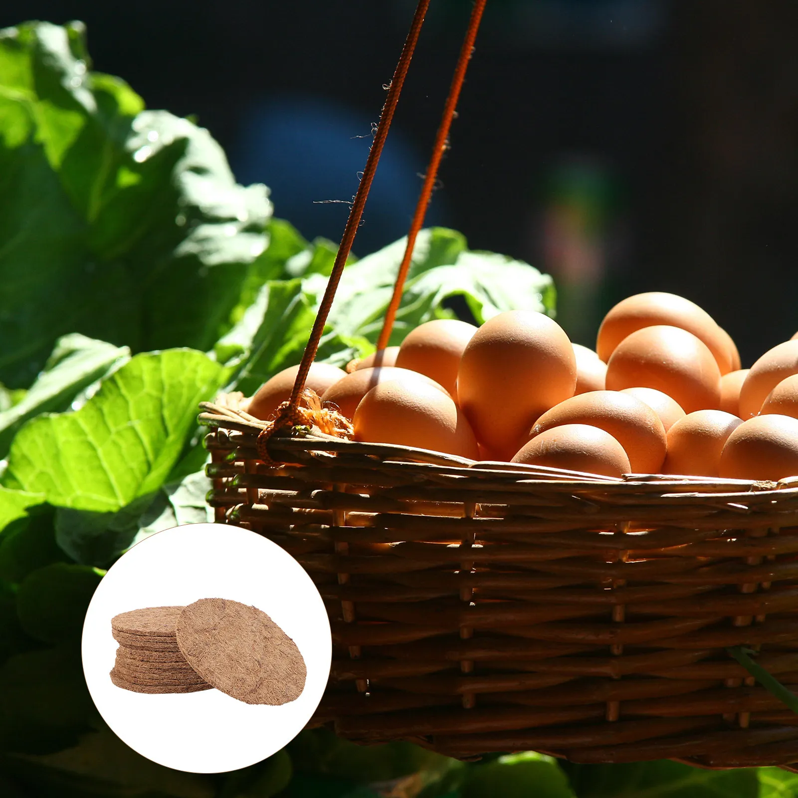 12Pcs Natural Bird Nest Mat for Egg Incubation Washable Quick Dry Breathable Pigeon Breeding Accessory Nest
12Pcs Natural Bird Nest Mat for Egg Incubation Washable Quick Dry Breathable Pigeon Breeding Accessory Nest