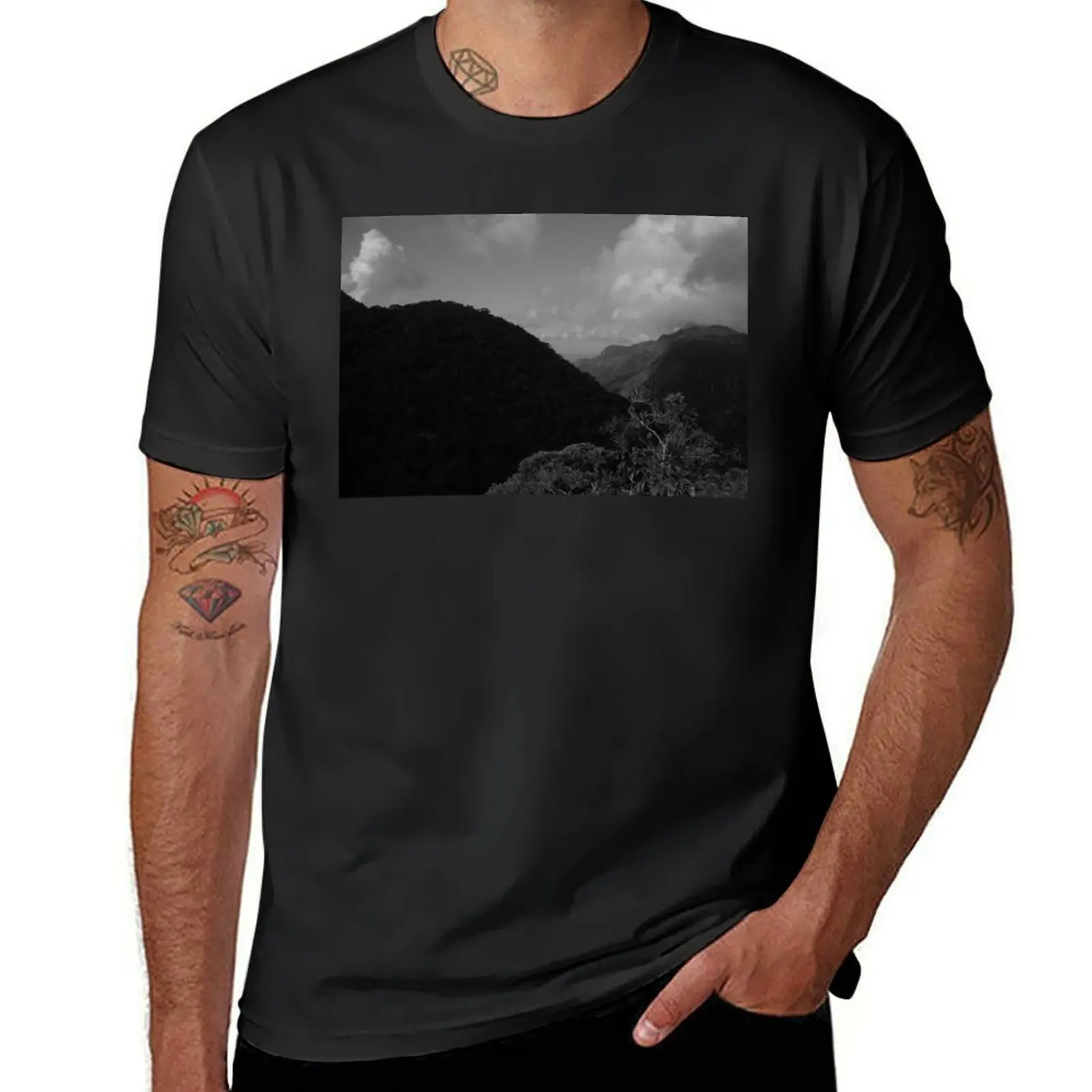 Tijuca Park, Rio de Janeiro T-Shirt blacks summer clothes slim fit t shirts for men
Tijuca Park, Rio de Janeiro T-Shirt blacks summer clothes slim fit t shirts for men