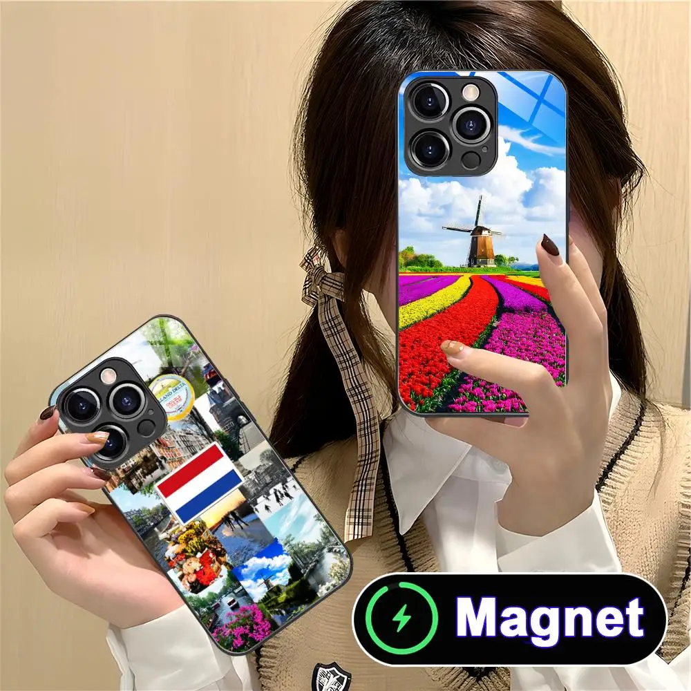 Netherland Dutch Flag Phone Case for iPhone 17 16 15 14 13 12 11 Air Pro Max Plus Mini Glass Magnet Cover
Netherland Dutch Flag Phone Case for iPhone 17 16 15 14 13 12 11 Air Pro Max Plus Mini Glass Magnet Cover