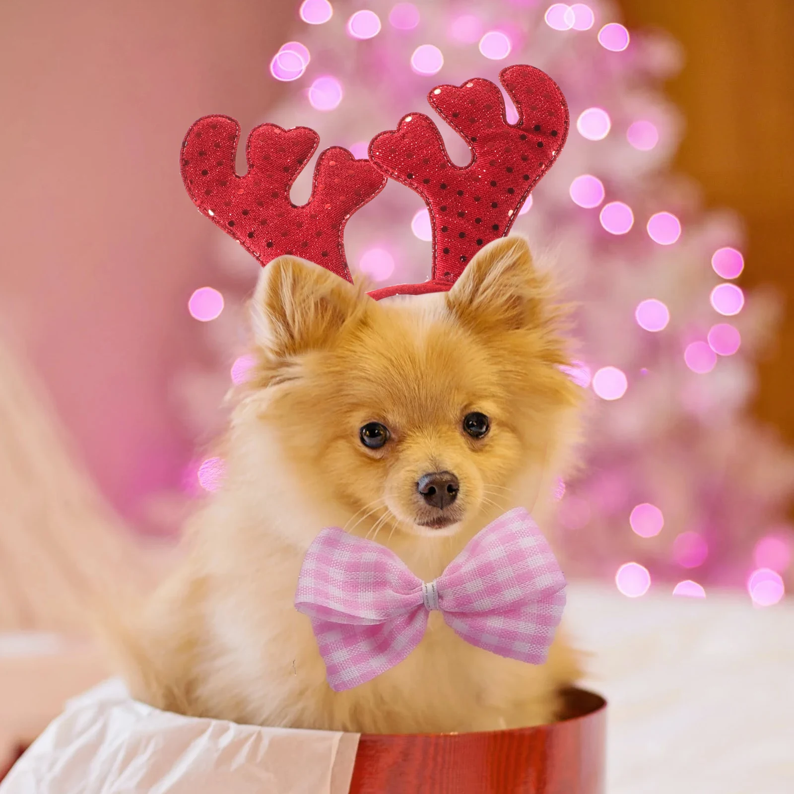 Antler Headband for Dogs Cats Christmas Costume Accessories Comfortable Pet Headbands for Photography Outdoors Walking Dog
Antler Headband for Dogs Cats Christmas Costume Accessories Comfortable Pet Headbands for Photography Outdoors Walking Dog