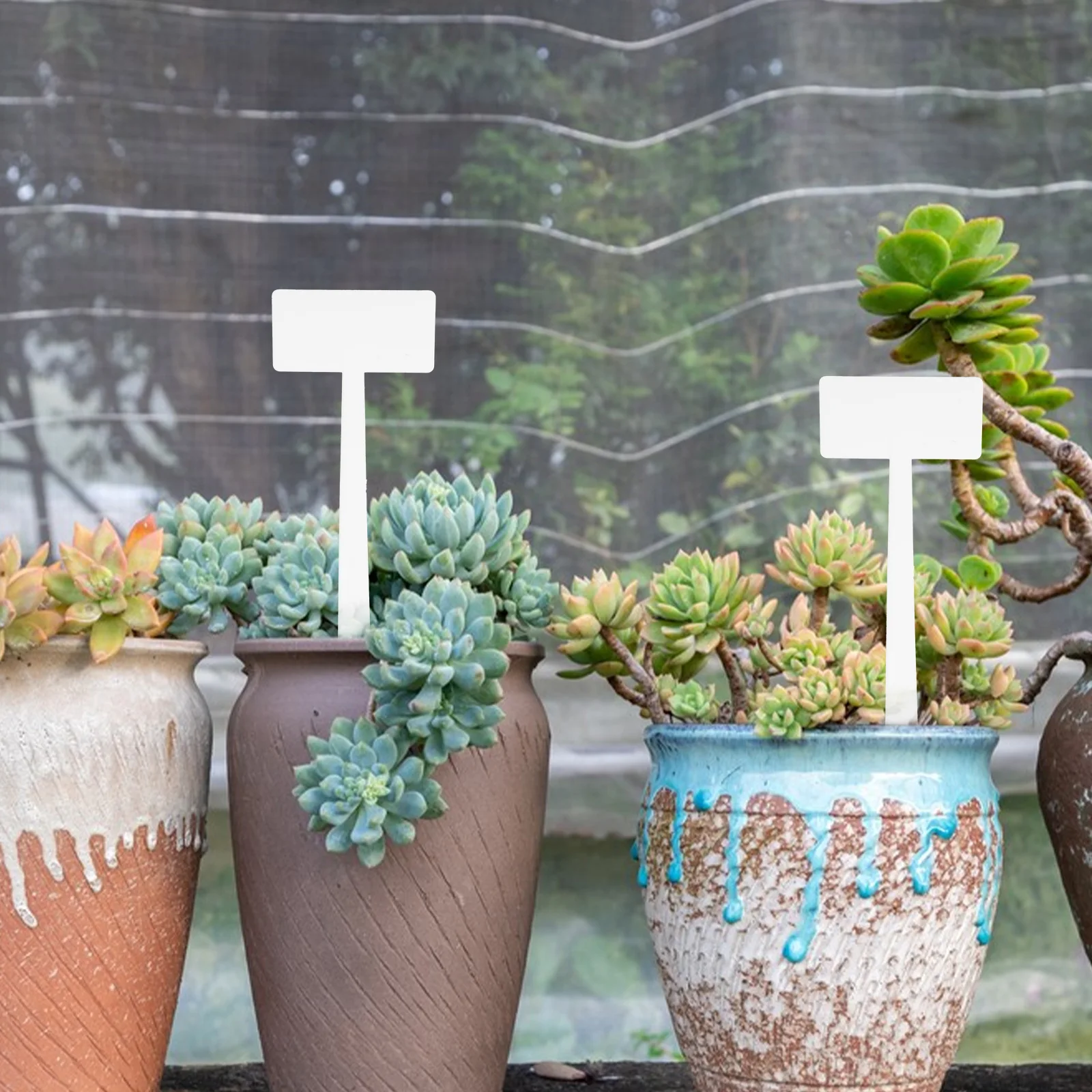 20Pcs Garden Label Plant Markers T-Shaped Reusable Waterproof Labels for Plants Outdoor Indoor Use Decorative Plant Tags
20Pcs Garden Label Plant Markers T-Shaped Reusable Waterproof Labels for Plants Outdoor Indoor Use Decorative Plant Tags