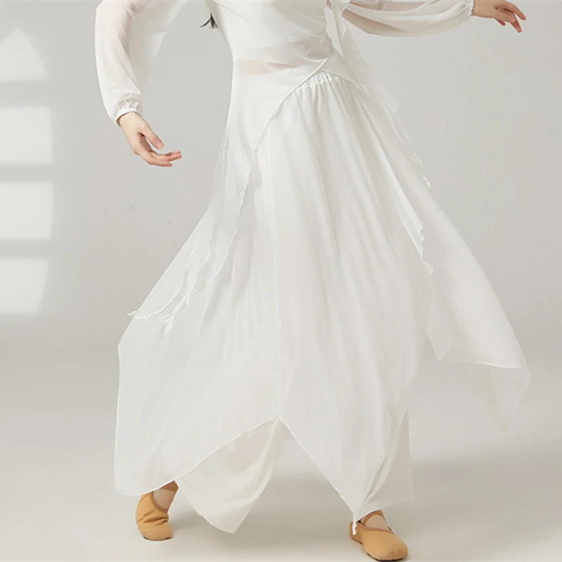 Women Dress Pants Double Layers Elastic Waist Culottes Classical Dance Practice Costume Spliced Mesh Skirt Performance Dancewear
Women Dress Pants Double Layers Elastic Waist Culottes Classical Dance Practice Costume Spliced Mesh Skirt Performance Dancewear