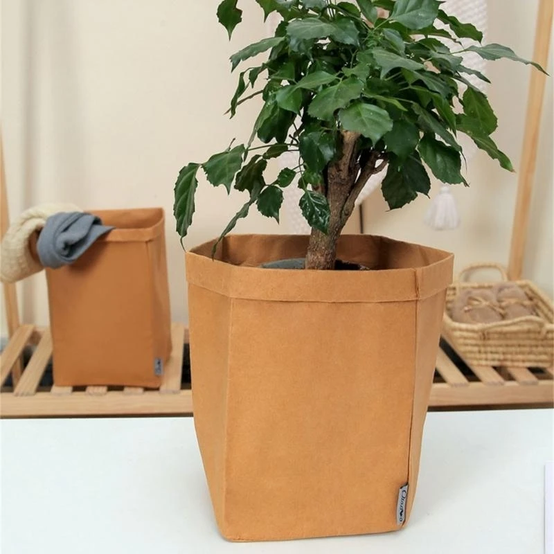 Sturdy Kraft Paper Bags Convenient for Food Containers and Small Items Stylish and Practical for Daily Casual Use
Sturdy Kraft Paper Bags Convenient for Food Containers and Small Items Stylish and Practical for Daily Casual Use