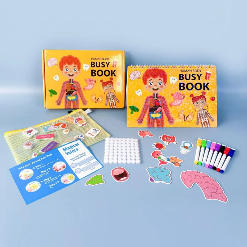 Preschool Learning Quiet Book 15 Themes Kids Busy Book Set Educational Human Body Structure Cognitive Development Book
Preschool Learning Quiet Book 15 Themes Kids Busy Book Set Educational Human Body Structure Cognitive Development Book