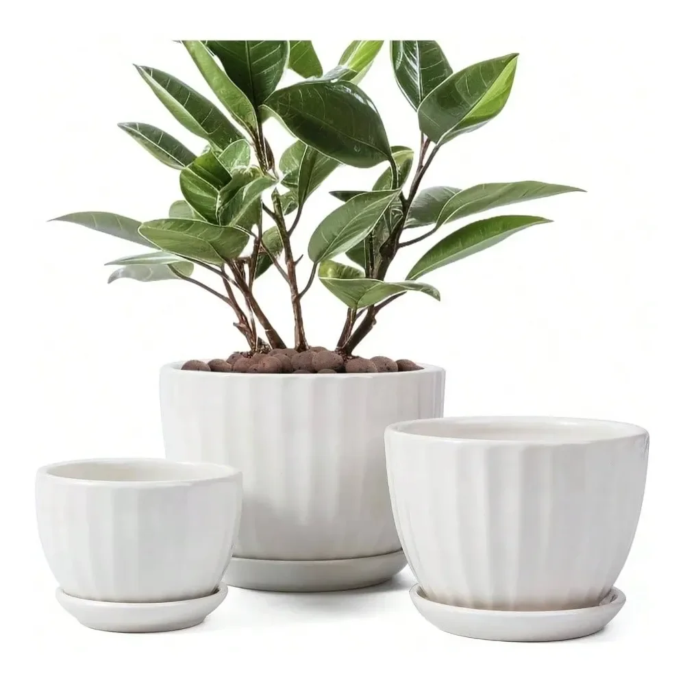 Plant Pots With Drainage Holes And Saucers, Round Blue Flower Pots Indoor Plant, Diameter 3.3 4.3 5.5 Inches Small Flower Plant
Plant Pots With Drainage Holes And Saucers, Round Blue Flower Pots Indoor Plant, Diameter 3.3 4.3 5.5 Inches Small Flower Plant