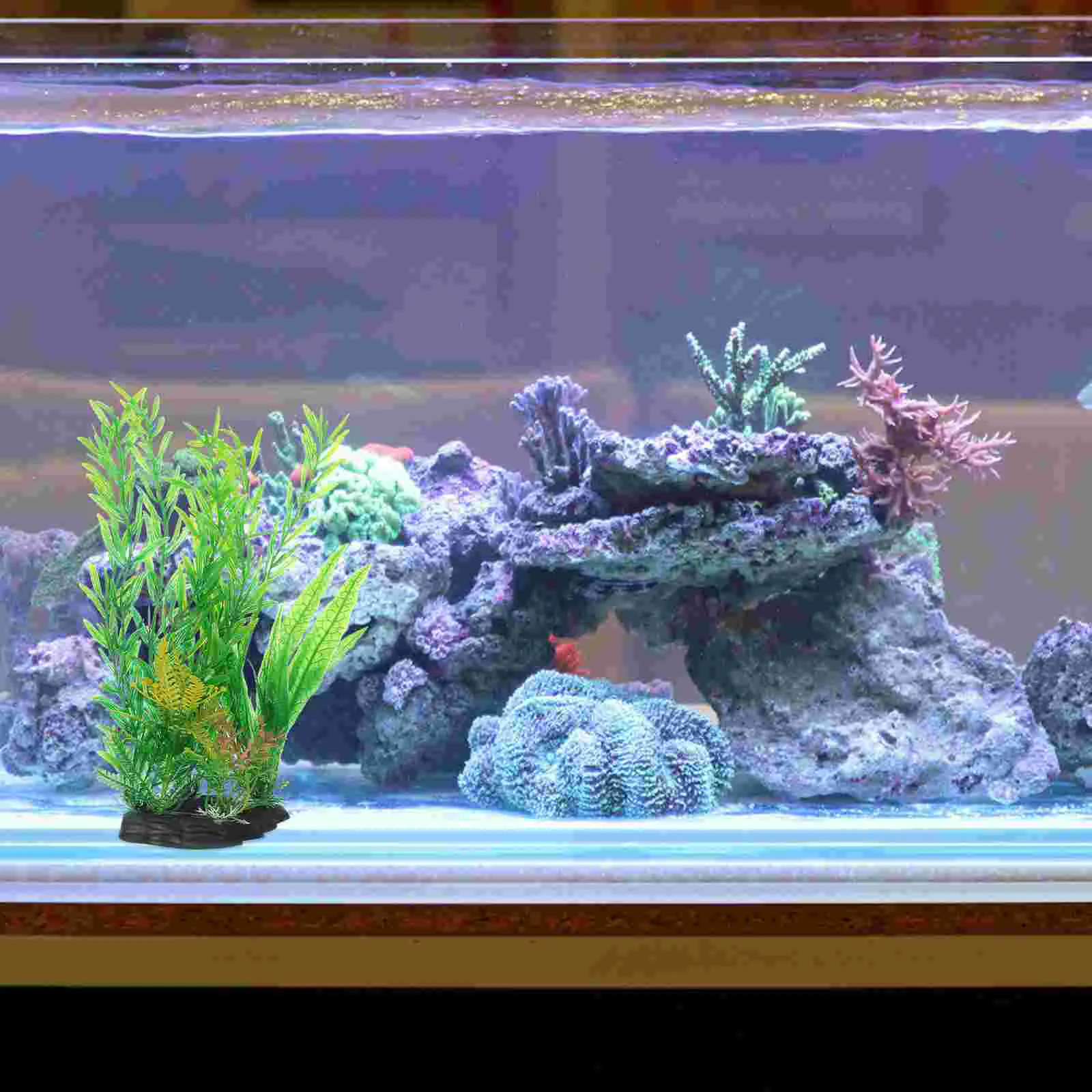 2 Pcs Decorate Desktop Aquarium Landscaping Artificial Plants Aquatic Green Ornament Plastic Decorative Fish Tank
2 Pcs Decorate Desktop Aquarium Landscaping Artificial Plants Aquatic Green Ornament Plastic Decorative Fish Tank