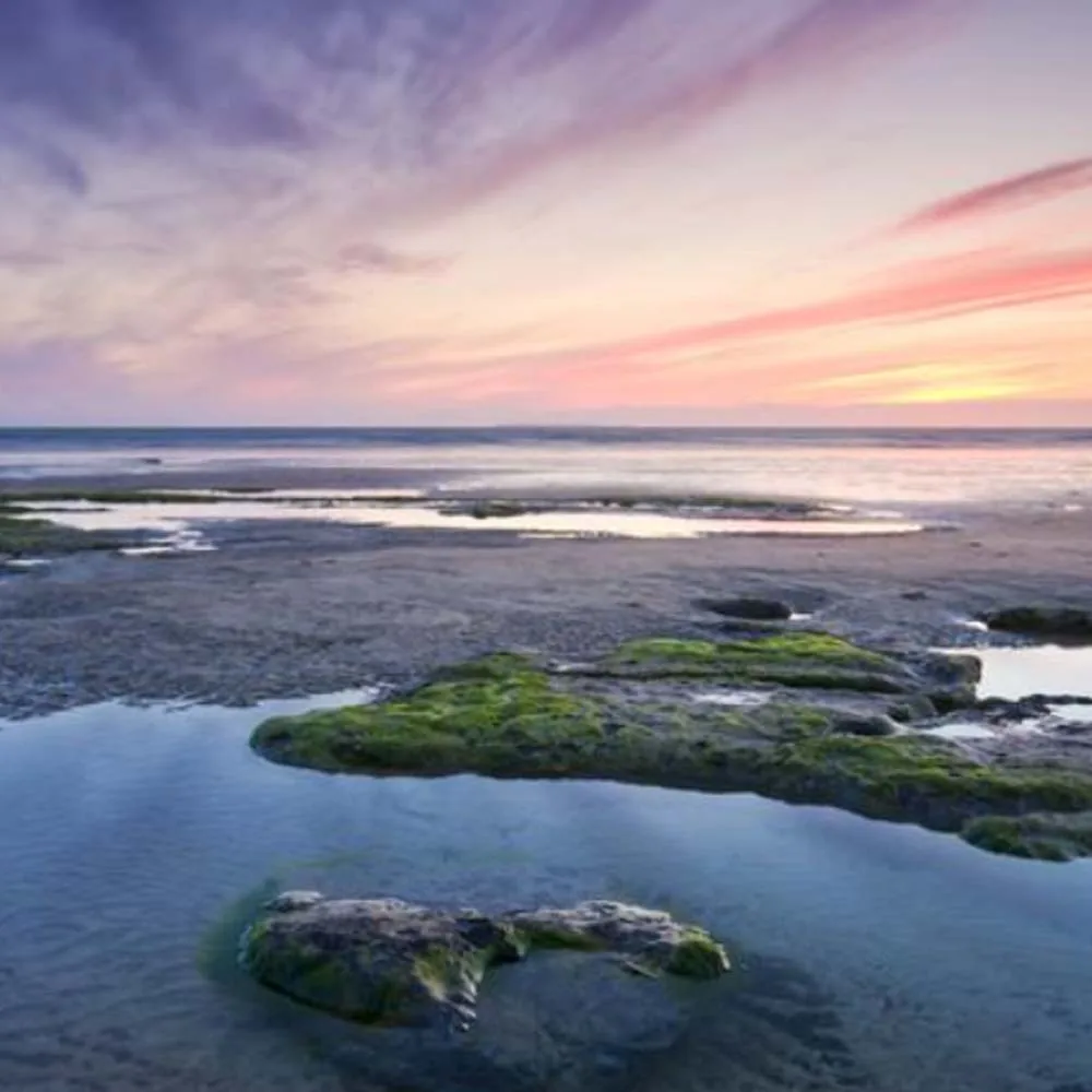 DSPOWER 3KG Clutch Gear Building Block TTL Servo Programmable 3-7V for Closed-loop Control Speed Kid Adult Education Gift DIY
DSPOWER 3KG Clutch Gear Building Block TTL Servo Programmable 3-7V for Closed-loop Control Speed Kid Adult Education Gift DIY