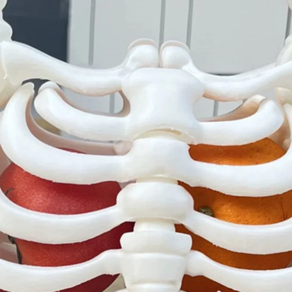 Halloween Party Clutch Bag Skeleton Handbag Halloween Bone Bag Fashion Costume Unique Style Decor Gothic Pocket Small Cool Pouch
Halloween Party Clutch Bag Skeleton Handbag Halloween Bone Bag Fashion Costume Unique Style Decor Gothic Pocket Small Cool Pouch