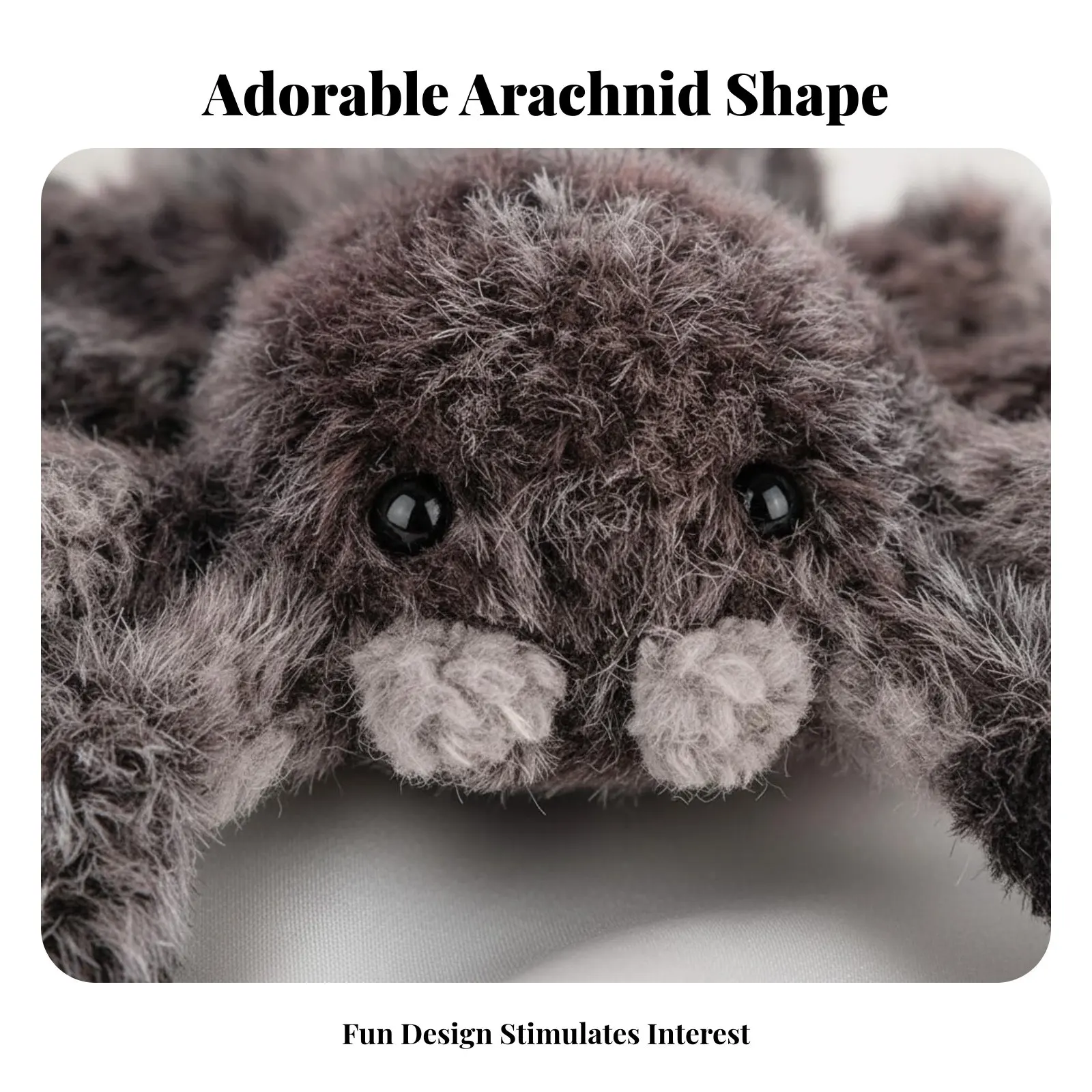Arachnid Stuffed Toy Halloween Gift Hairy Arachnid Stuffed Ie Stuffed Eight-Legged Stuffed Adorable Design Eight-Legged Stuffed
Arachnid Stuffed Toy Halloween Gift Hairy Arachnid Stuffed Ie Stuffed Eight-Legged Stuffed Adorable Design Eight-Legged Stuffed