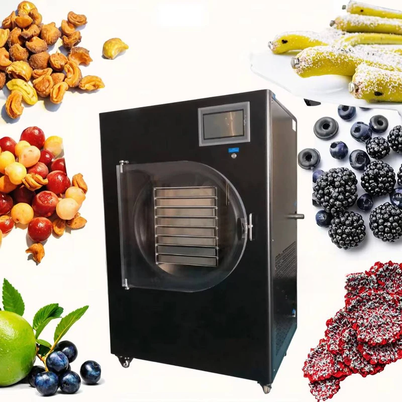 CE Certification Industrial Freeze Dryer TOPT-10A Stainless Steel 6-8Kg Capacity PLC Pump Motor Food Processing Factory Fruit
CE Certification Industrial Freeze Dryer TOPT-10A Stainless Steel 6-8Kg Capacity PLC Pump Motor Food Processing Factory Fruit