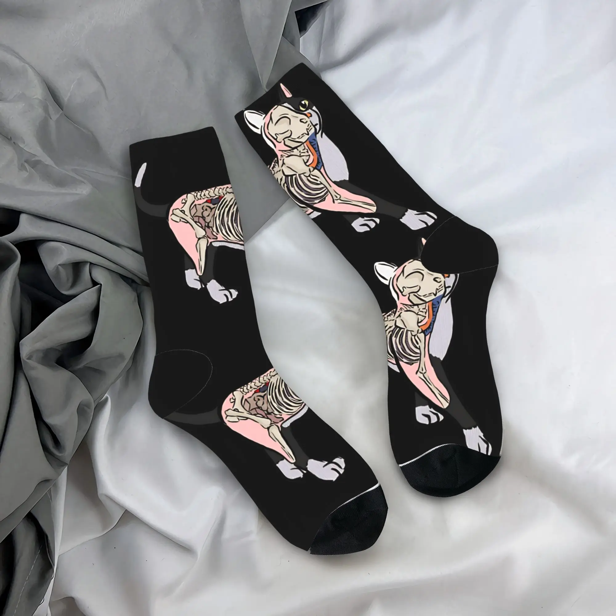 Cat Anatomy Skeleton Socks Anti-Slip Stockings Men Medium Soft Running Socks Autumn Casual Custom Socks
Cat Anatomy Skeleton Socks Anti-Slip Stockings Men Medium Soft Running Socks Autumn Casual Custom Socks