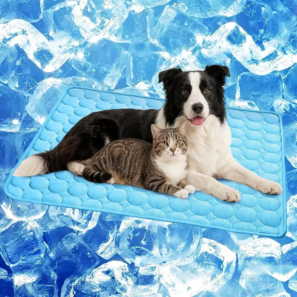 Pet Cooling Mat for Dogs and Cats - High-Quality, Washable, Non-Slip, Non-Toxic, Portable Cooling Bed for Small to Large Pets, S
Pet Cooling Mat for Dogs and Cats - High-Quality, Washable, Non-Slip, Non-Toxic, Portable Cooling Bed for Small to Large Pets, S