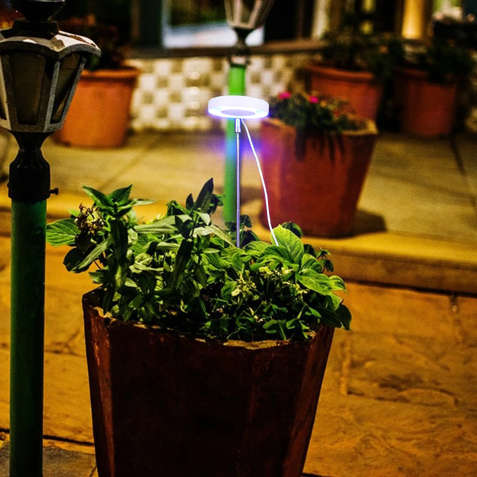 3.5 Inch 5W LED Light Red Plant Lamp Black Adjustable Timer Rotatable Indoor Grow Lamp Full Plant for Houseplants
3.5 Inch 5W LED Light Red Plant Lamp Black Adjustable Timer Rotatable Indoor Grow Lamp Full Plant for Houseplants