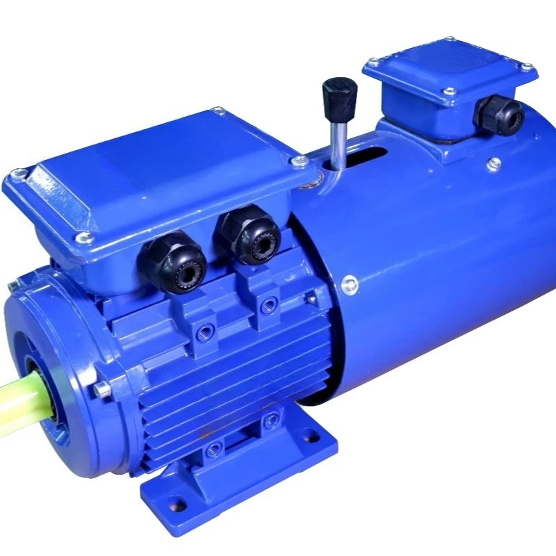 Brake series motor, variable frequency brake, double brake motor, special voltage motor
Brake series motor, variable frequency brake, double brake motor, special voltage motor
