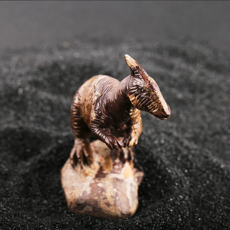 Authentic dinosaur carving - special natural material dujiao dragon model 8×4.5×9cm 170g
Authentic dinosaur carving - special natural material dujiao dragon model 8×4.5×9cm 170g