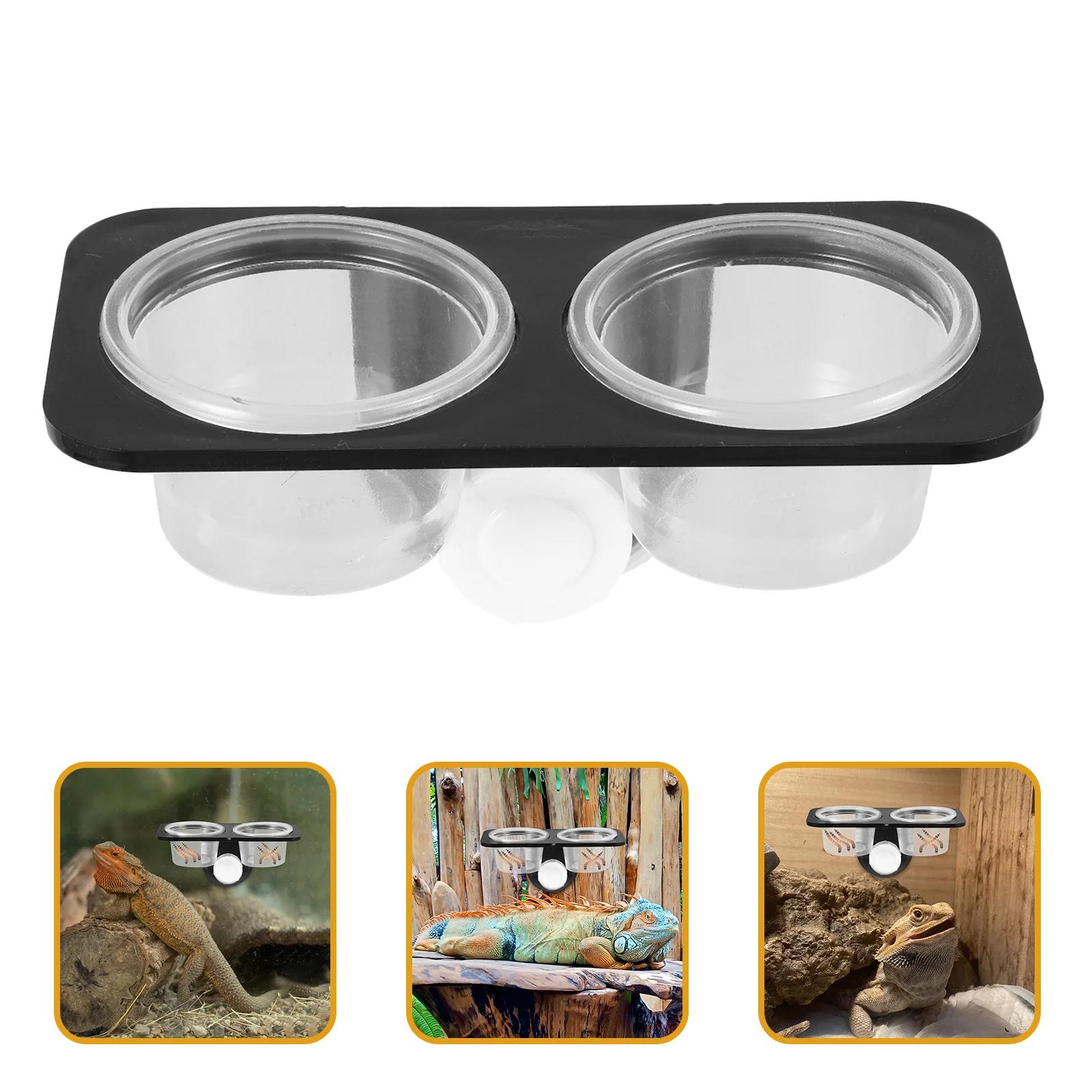 Reptile Feeder Suction Cup Food Water Bowl Container Feeding Supplies for Lizard Turtle Gecko Scorpion Reptile Feeding
Reptile Feeder Suction Cup Food Water Bowl Container Feeding Supplies for Lizard Turtle Gecko Scorpion Reptile Feeding