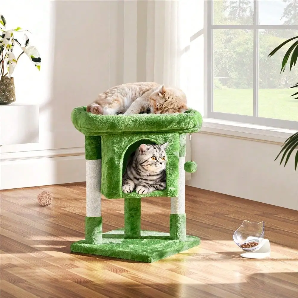 23.5 2Level Cat Tree With Wide Top Perch Cat Condo Natural Sisal ch Posts For Small Medium Cats
23.5 2Level Cat Tree With Wide Top Perch Cat Condo Natural Sisal ch Posts For Small Medium Cats