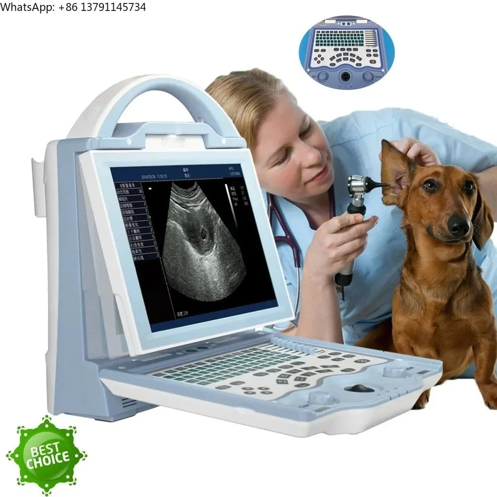 Pregnancy B-Ultrasound Scanner Machine Good Quality Handheld Animal Equipment Pet Hospital
Pregnancy B-Ultrasound Scanner Machine Good Quality Handheld Animal Equipment Pet Hospital