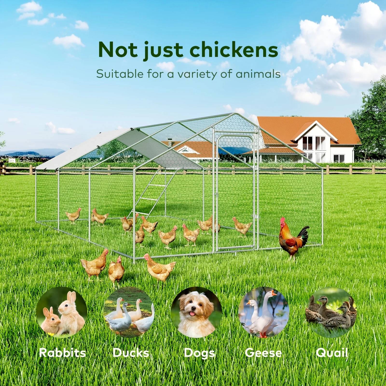 10 X 19.7 / 10 X 13.2ft Large Heavy-Duty Metal Chicken Coop with Chicken Perch, Suitable for Chickens, Ducks, Rabbits, Large Wea
10 X 19.7 / 10 X 13.2ft Large Heavy-Duty Metal Chicken Coop with Chicken Perch, Suitable for Chickens, Ducks, Rabbits, Large Wea