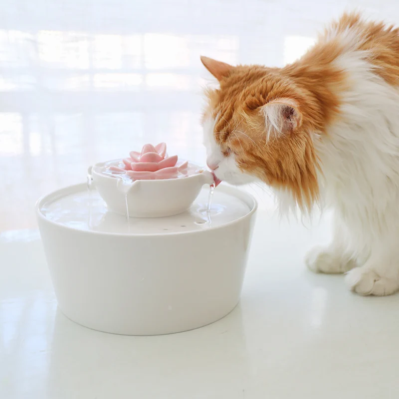 Creative Ceramic Succulent style Shape Dog Cat Bowl, Water Dispenser Automatic Circulating Water Feeder, Pet Bowls Supplies, 1Pc
Creative Ceramic Succulent style Shape Dog Cat Bowl, Water Dispenser Automatic Circulating Water Feeder, Pet Bowls Supplies, 1Pc