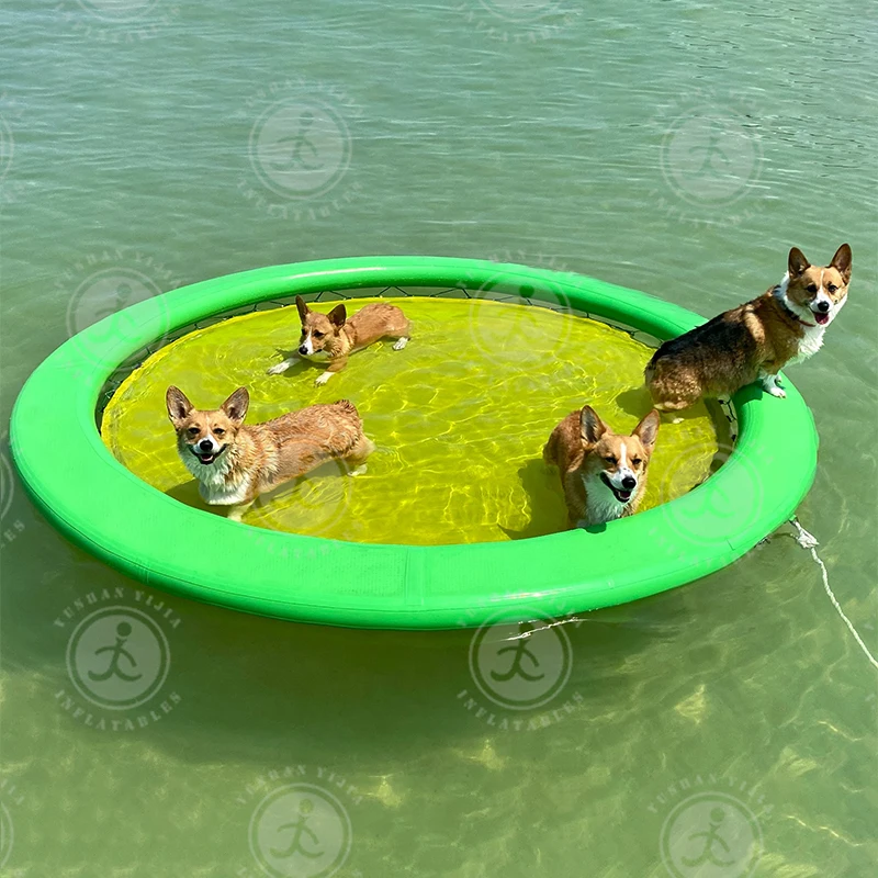 Factory Custom Dwf Water Lounger Foldable Mesh Hammock Hard Plastic Float Water Circular Dog Ramp Hammock
Factory Custom Dwf Water Lounger Foldable Mesh Hammock Hard Plastic Float Water Circular Dog Ramp Hammock