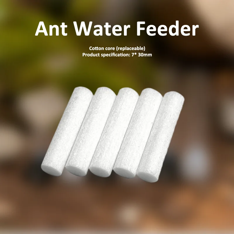 Кормушка муравьев, внешний диспенсер для воды, подвесной блок с внешней водой сверхбольшой емкостью для муравьев и насекомых
Кормушка муравьев, внешний диспенсер для воды, подвесной блок с внешней водой сверхбольшой емкостью для муравьев и насекомых
