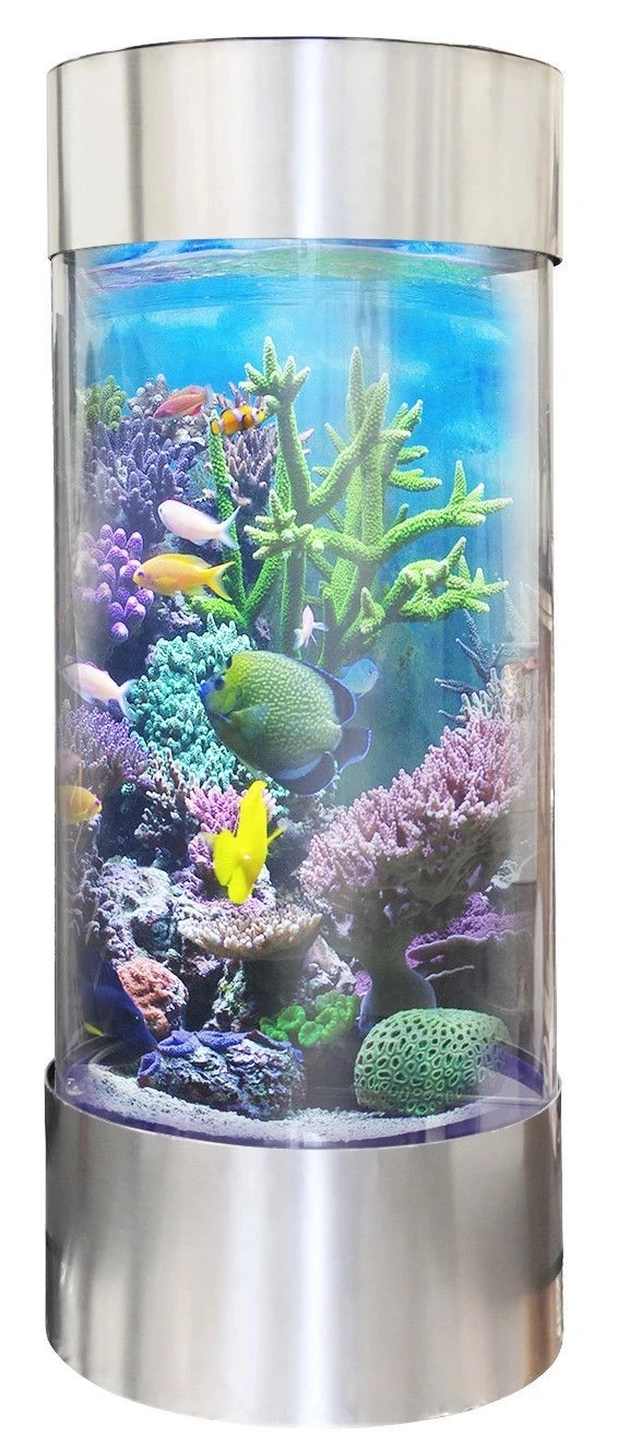 All Acrylic 360 Cylinder Aquarium Stainless Steel Decoration Home Shopping Mall Viewing Good Quality
All Acrylic 360 Cylinder Aquarium Stainless Steel Decoration Home Shopping Mall Viewing Good Quality