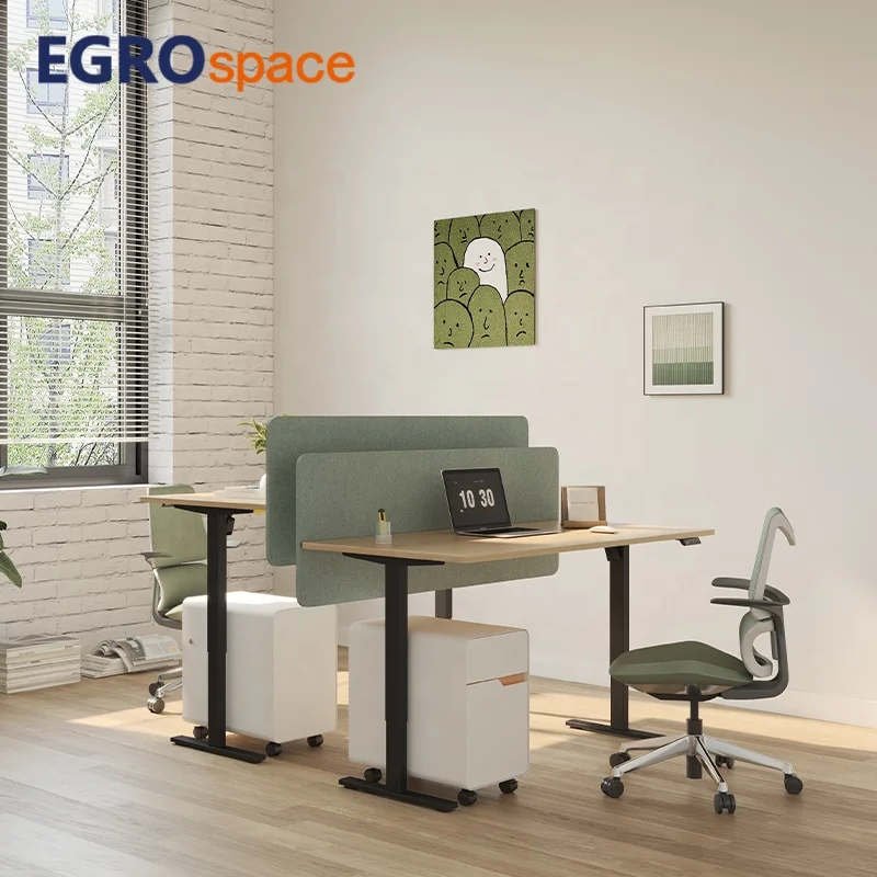 Height Electric Ergonomic Prices Officeh Single Motor Adjustable Desk
Height Electric Ergonomic Prices Officeh Single Motor Adjustable Desk