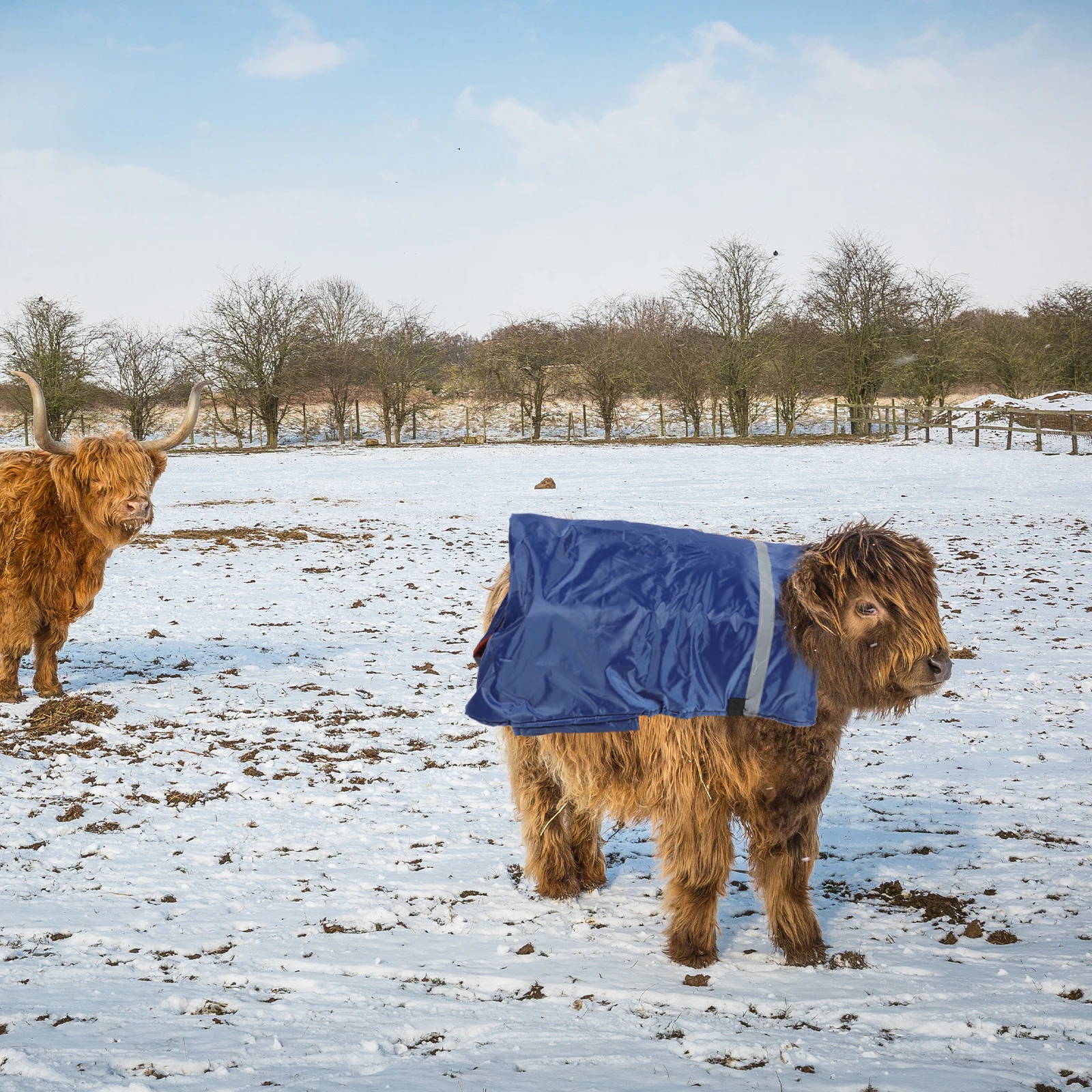 Warm Calf Coat Thickened Insulated Livestock Clothes Waterproof Breathable Ranch Supplies Adjustable Buckle Cow Wear
Warm Calf Coat Thickened Insulated Livestock Clothes Waterproof Breathable Ranch Supplies Adjustable Buckle Cow Wear