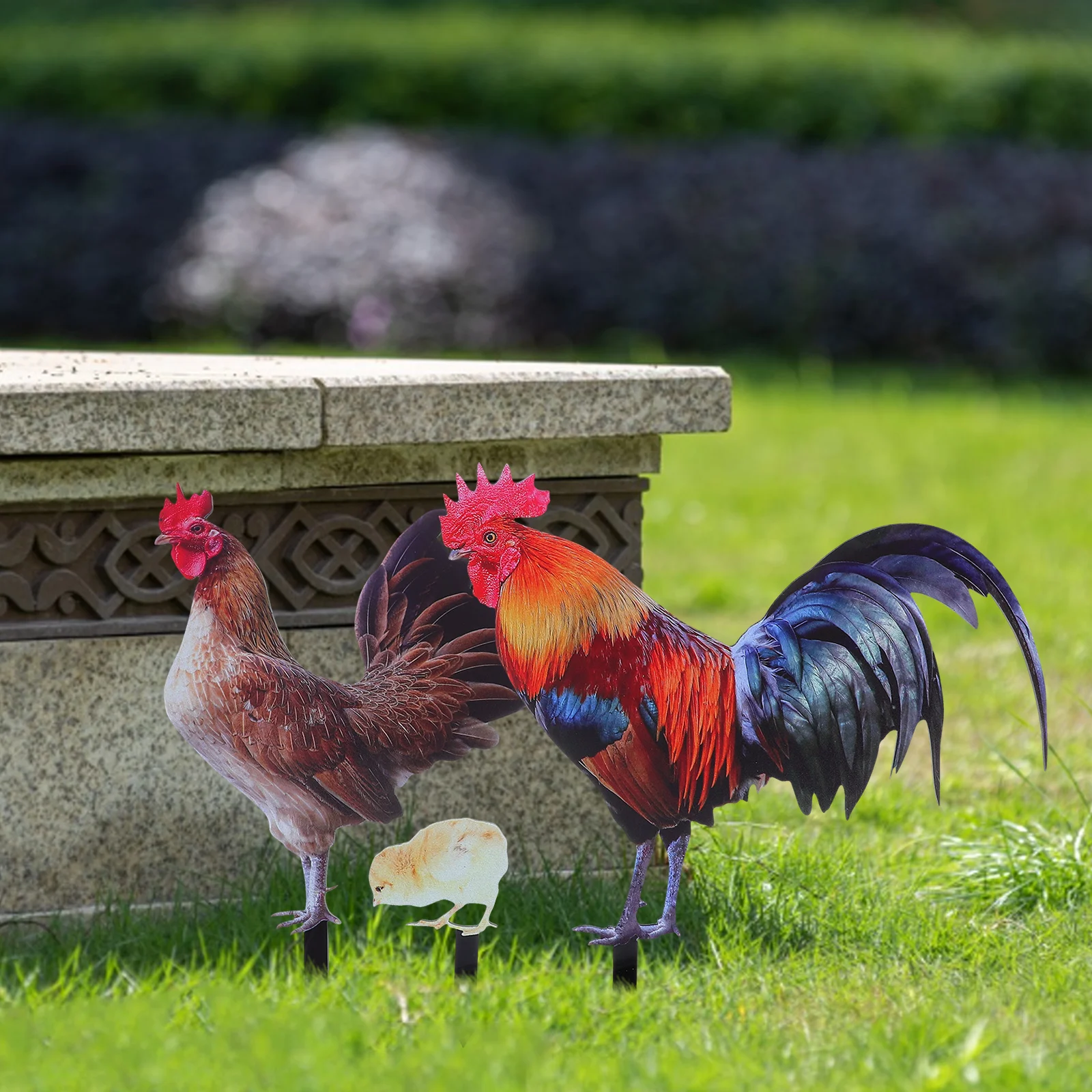 Garden Hen Decoration Ornament Chicken Decorations for Home Outdoor Acrylic and Chicks Stake
Garden Hen Decoration Ornament Chicken Decorations for Home Outdoor Acrylic and Chicks Stake