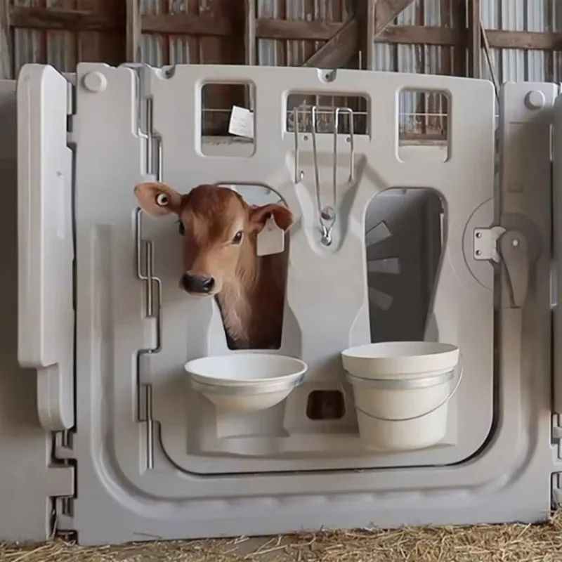 Calf House Easy Installation Food Grade Plastic Heavy Duty Calf Hutch
Calf House Easy Installation Food Grade Plastic Heavy Duty Calf Hutch