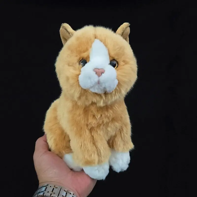 Simulated Orange Kitten Doll Super Cute Adorable Cat Plush Toy Little Cats Lifelike Animals Stuffed Doll Kawaii Toy Gifts
Simulated Orange Kitten Doll Super Cute Adorable Cat Plush Toy Little Cats Lifelike Animals Stuffed Doll Kawaii Toy Gifts