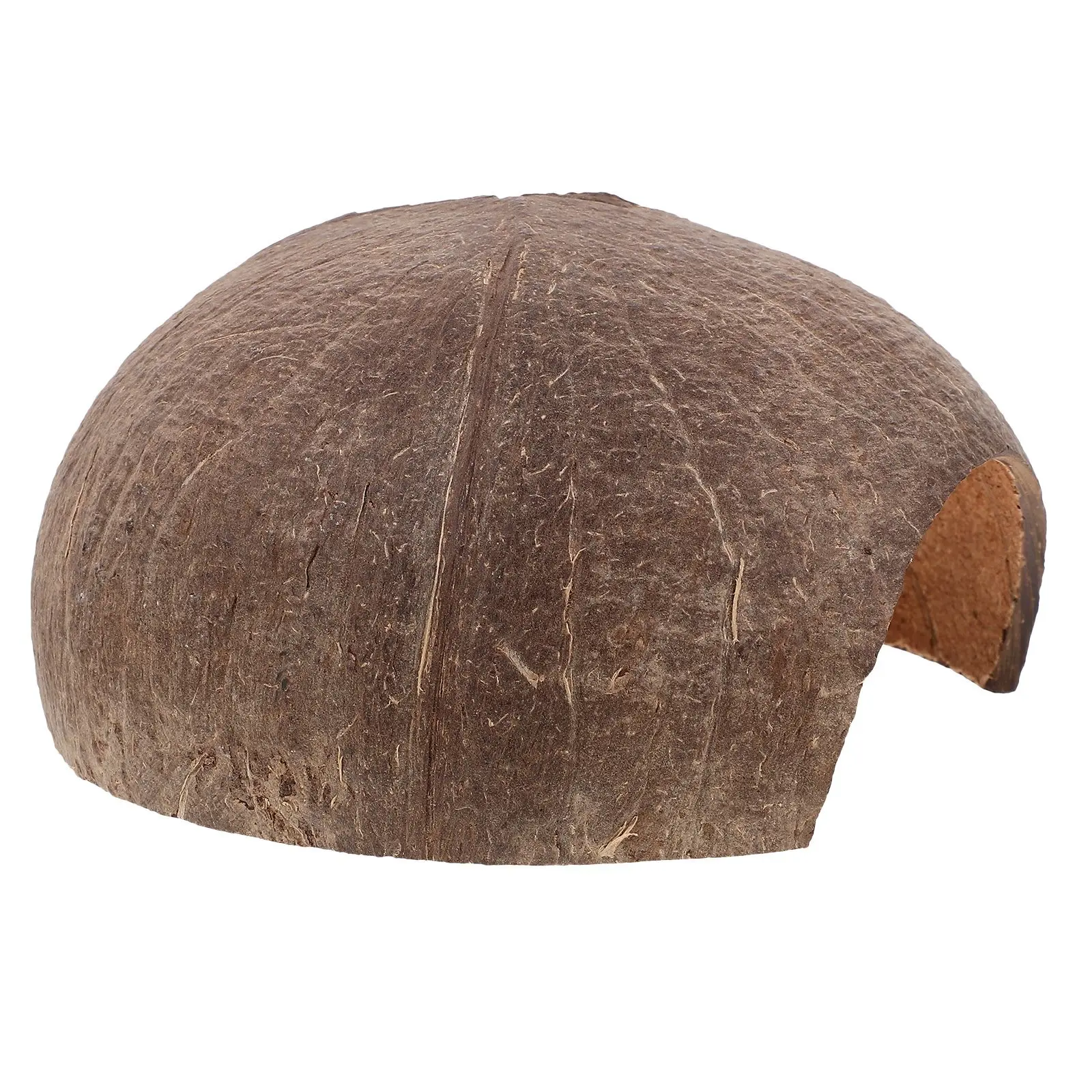 Coconut Shell Shelter Reptile Hides Lifelike Design Safe Platform Turtle Habitat Leopard Gecko Accessories Bearded Dragon Cave
Coconut Shell Shelter Reptile Hides Lifelike Design Safe Platform Turtle Habitat Leopard Gecko Accessories Bearded Dragon Cave