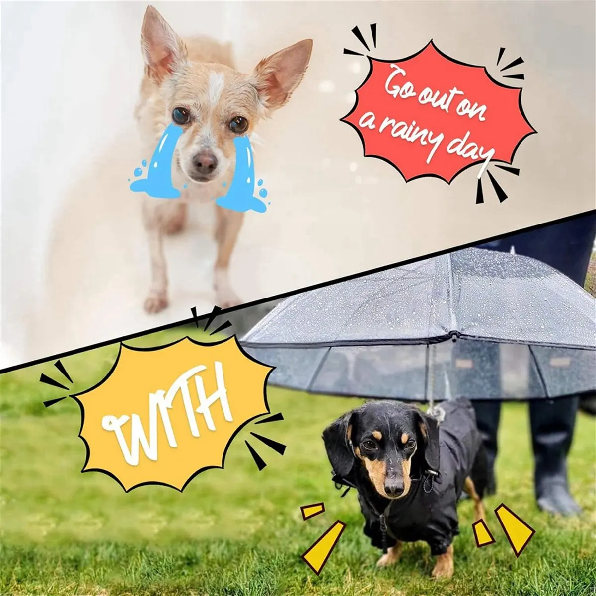 Прозрачный зонт для собак на 2025 год для маленьких собак, держите сухую собаку при ходьбе дождем, собрать и регулируемый
Прозрачный зонт для собак на 2025 год для маленьких собак, держите сухую собаку при ходьбе дождем, собрать и регулируемый