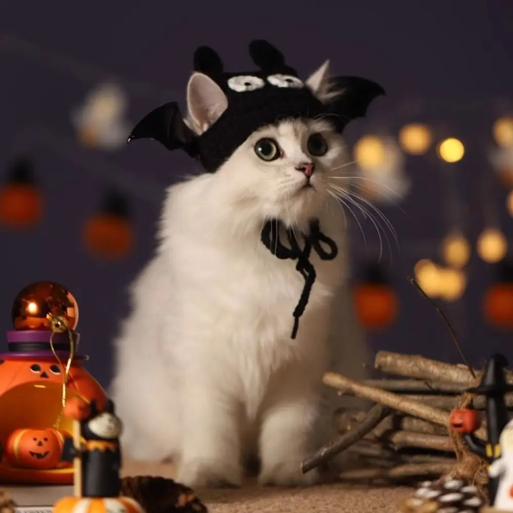Cartoon Pet Halloween Costume Handmade Knitted Adjustable Cat Warm Hat Pet Printed Pumpkin Scarf Halloween Cat Collar
Cartoon Pet Halloween Costume Handmade Knitted Adjustable Cat Warm Hat Pet Printed Pumpkin Scarf Halloween Cat Collar