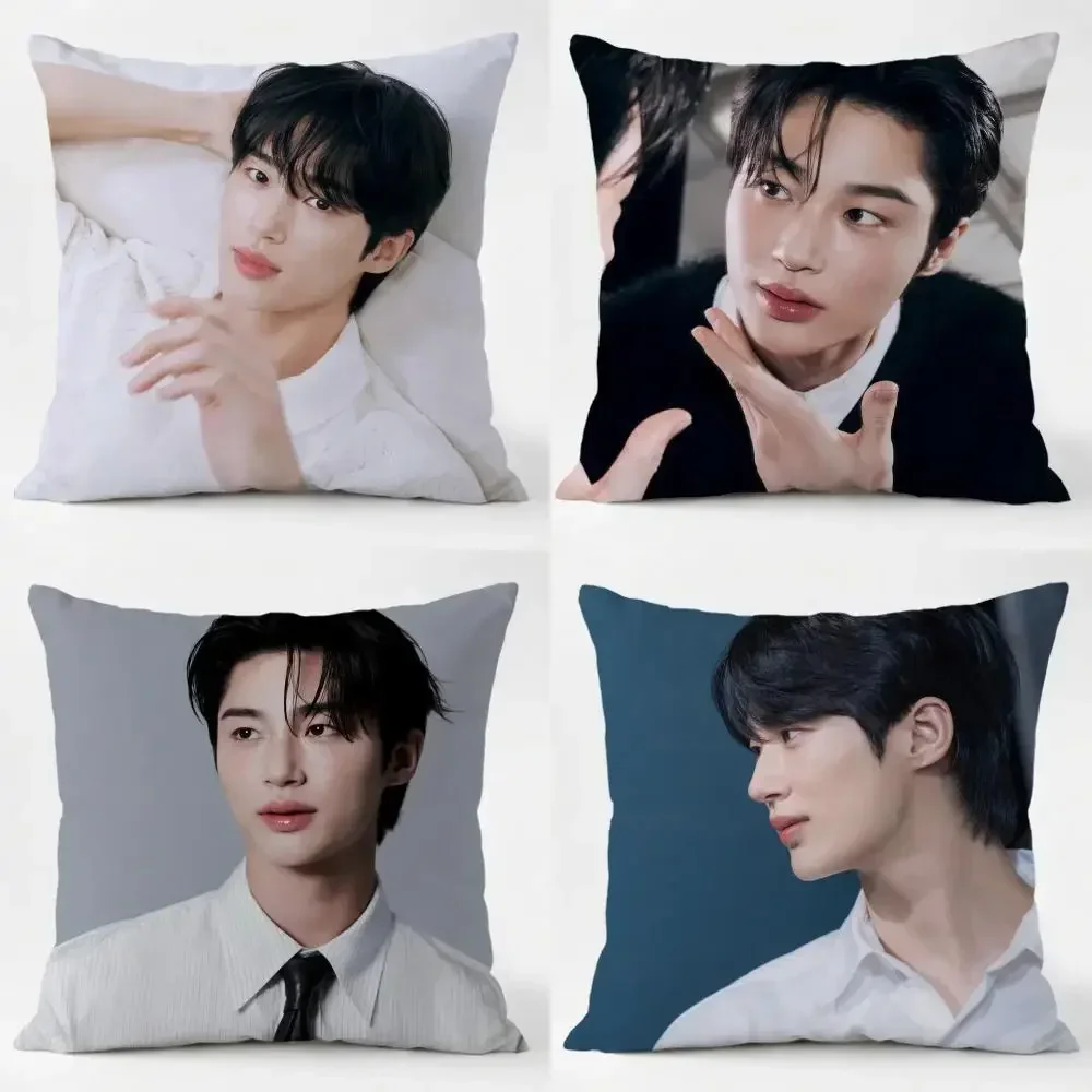 Byeon Woo-seok Cushion Cover comfort Daily Washable Linen Soft for Sofa Bed Home Room Decor
Byeon Woo-seok Cushion Cover comfort Daily Washable Linen Soft for Sofa Bed Home Room Decor