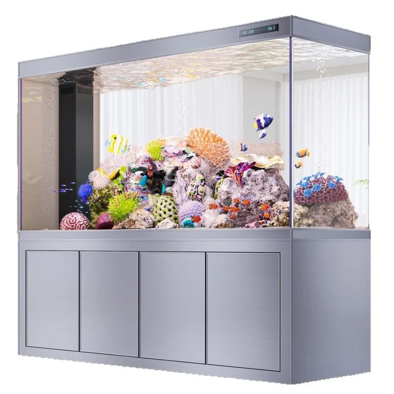 Dragon fish tank bottom filter living room household medium and large water-free aquarium screen against the wall
Dragon fish tank bottom filter living room household medium and large water-free aquarium screen against the wall