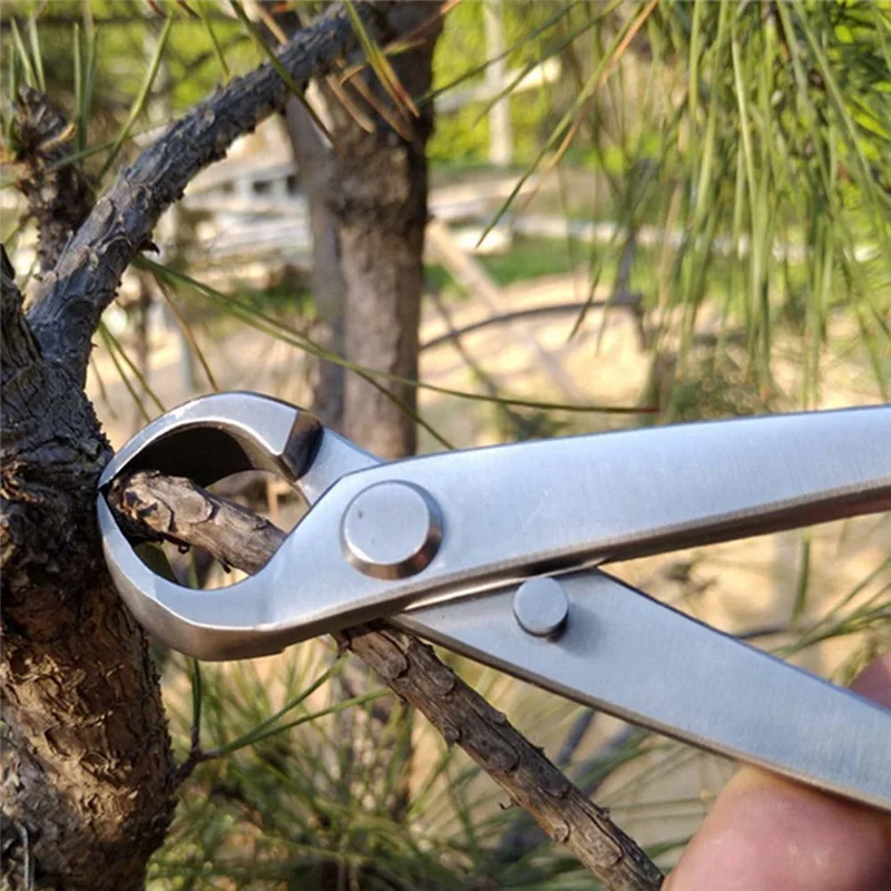 High Quality-1 PCS Gardening Ball Shears Stainless Steel Ball Scissors Bonsai Tool Silver Stainless Steel,1 PCS Gardening Ball S
High Quality-1 PCS Gardening Ball Shears Stainless Steel Ball Scissors Bonsai Tool Silver Stainless Steel,1 PCS Gardening Ball S