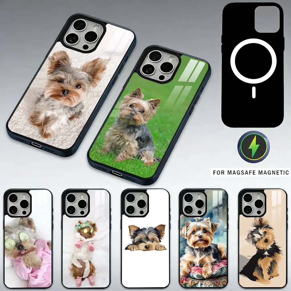 Yorkshire terrier dog yorkie puppy Phone Case For iPhone17,16,15,14,13,12,11 Plus,Pro Max Magneti For Magsafe Wireless Charging
Yorkshire terrier dog yorkie puppy Phone Case For iPhone17,16,15,14,13,12,11 Plus,Pro Max Magneti For Magsafe Wireless Charging