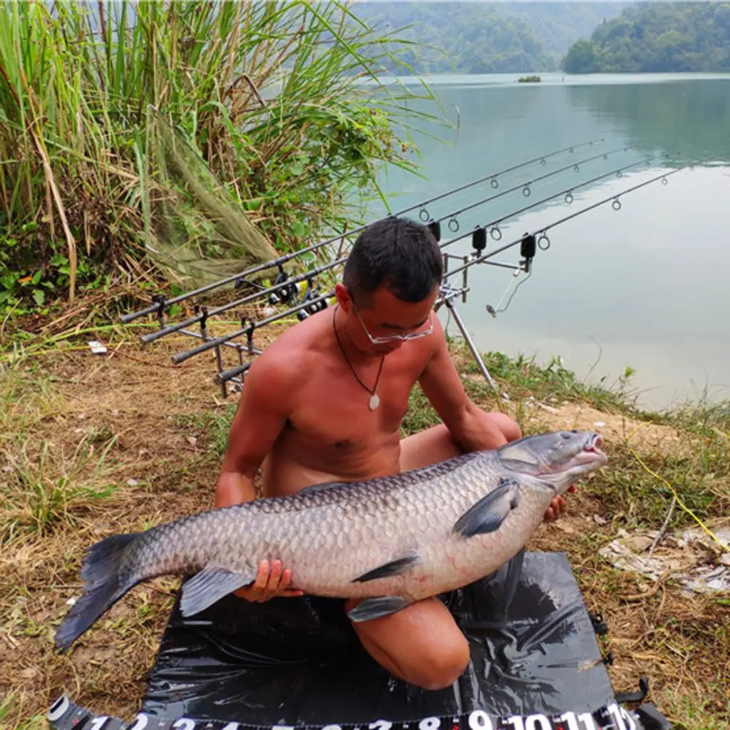 Carp Fishing Unhooking Mat EVA Polyester Lightweight Foldable Floor Pad for Angler Fish Protection and Weighing
Carp Fishing Unhooking Mat EVA Polyester Lightweight Foldable Floor Pad for Angler Fish Protection and Weighing