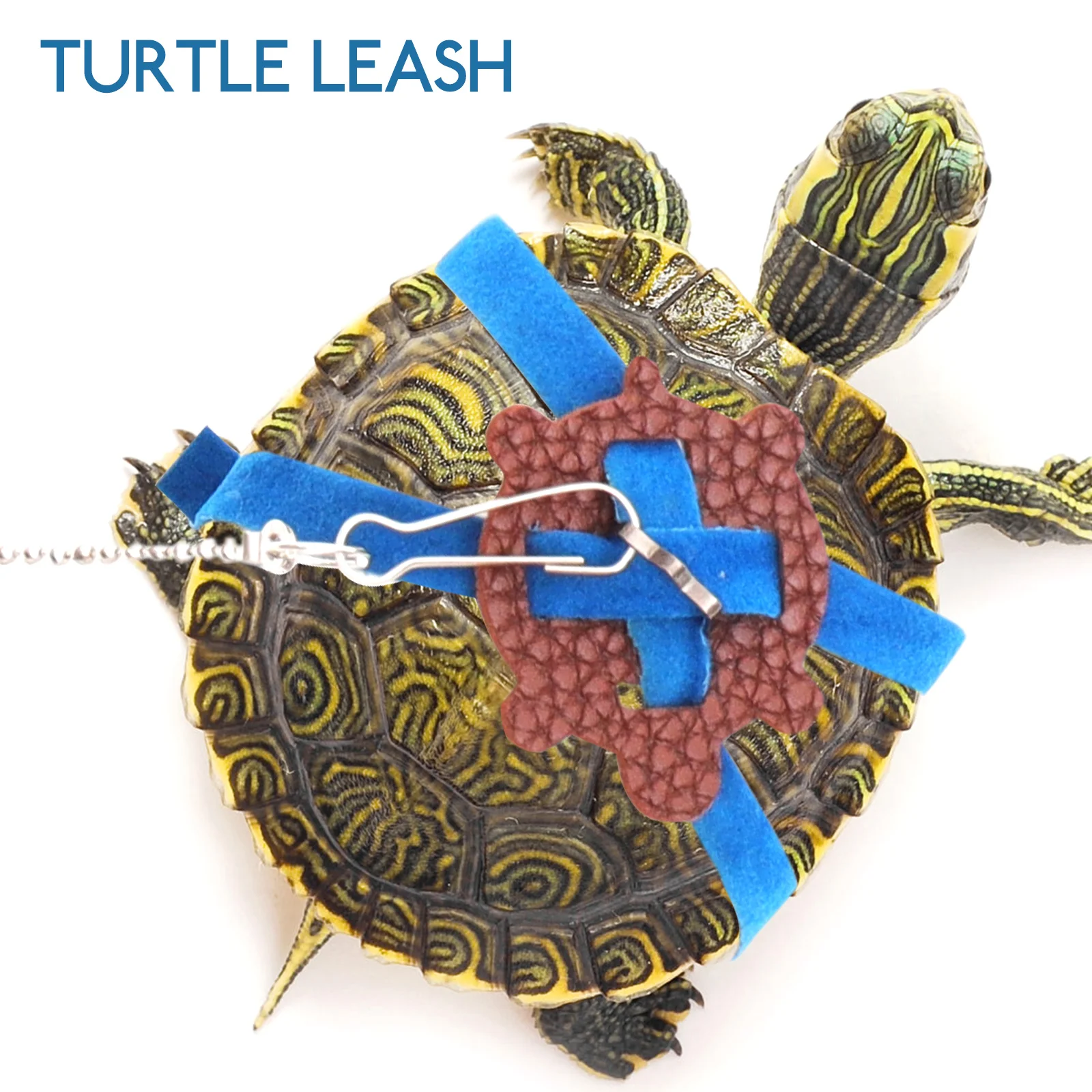 Turtle Leash Portable Walking Rope Animals Harness Strap Breathable Durable Lightweight Adjustable Pet Supplies Accessories
Turtle Leash Portable Walking Rope Animals Harness Strap Breathable Durable Lightweight Adjustable Pet Supplies Accessories
