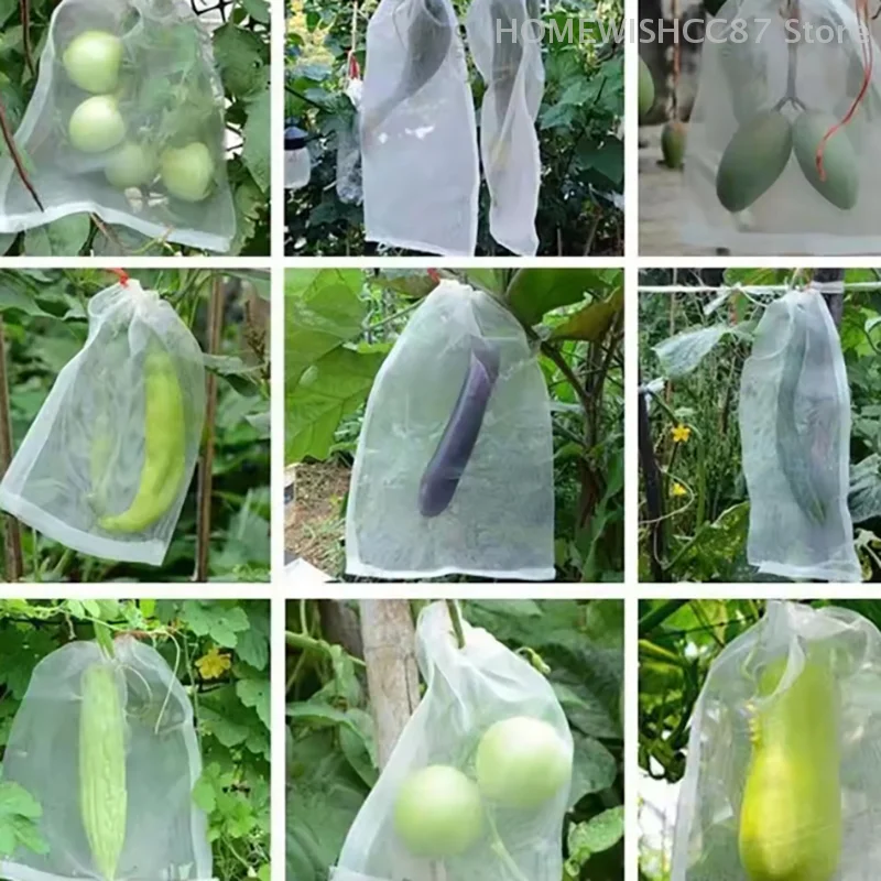 Nylon Mesh Bag Fruit Insect Bag Bird Bag Rice Soaking Bag Seed Bag Breeding Bag Yarn Mesh Bag Bagging
Nylon Mesh Bag Fruit Insect Bag Bird Bag Rice Soaking Bag Seed Bag Breeding Bag Yarn Mesh Bag Bagging