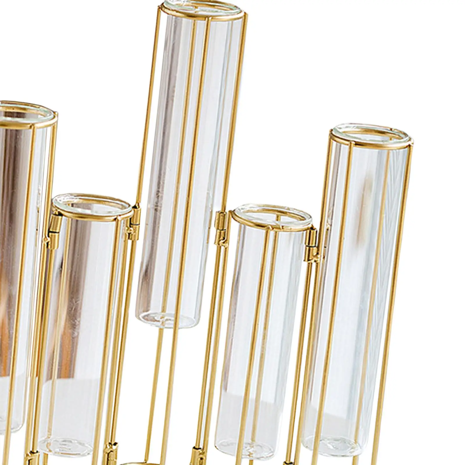 Hinged Test Tube Vase Display Home Decorative Vase for Plants Table Centerpiece and Interior Decor
Hinged Test Tube Vase Display Home Decorative Vase for Plants Table Centerpiece and Interior Decor