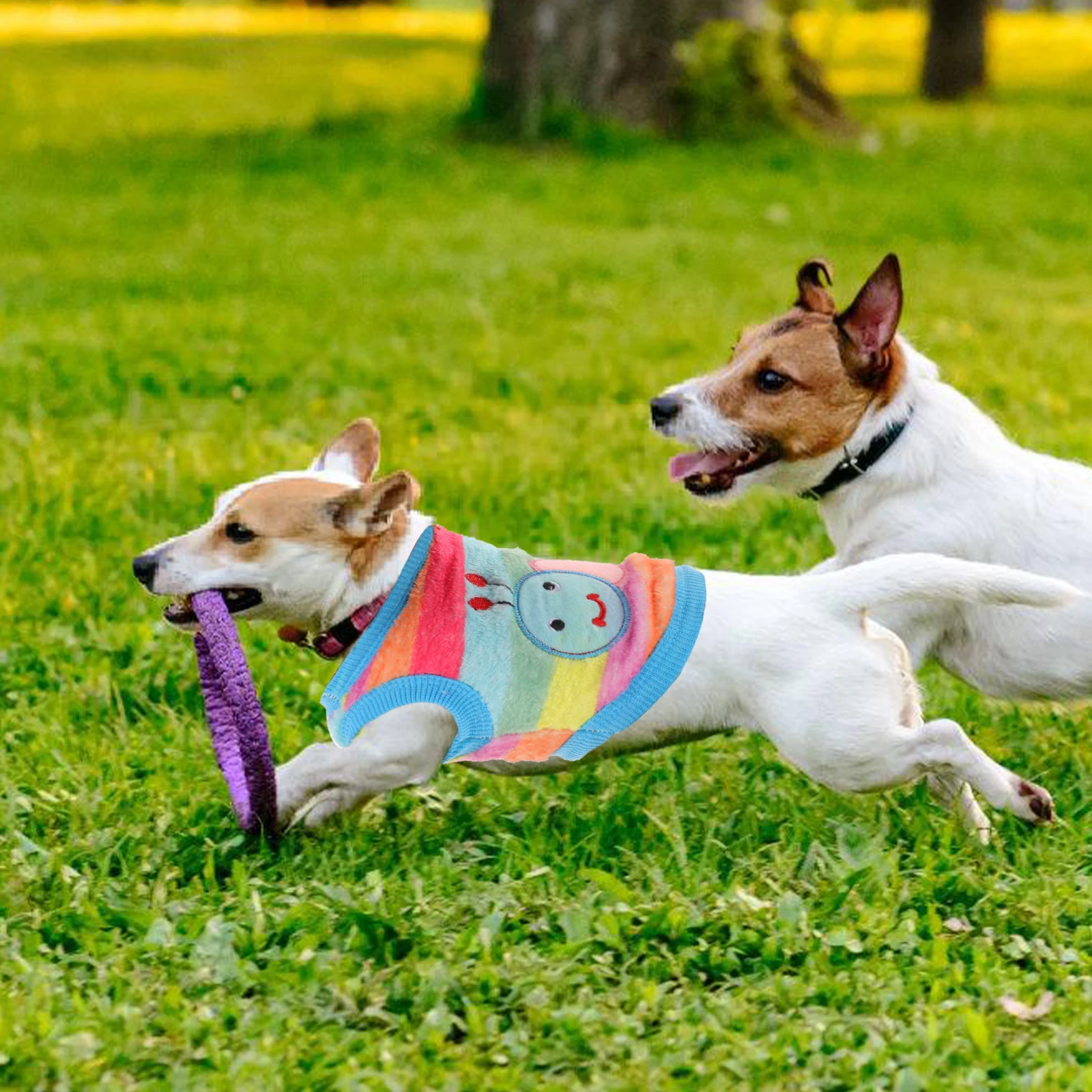 Clothes for Pets Vest Caterpillar Clothing Dog Sweater Chihuahua Sweaters Dresses Small Dogs
Clothes for Pets Vest Caterpillar Clothing Dog Sweater Chihuahua Sweaters Dresses Small Dogs