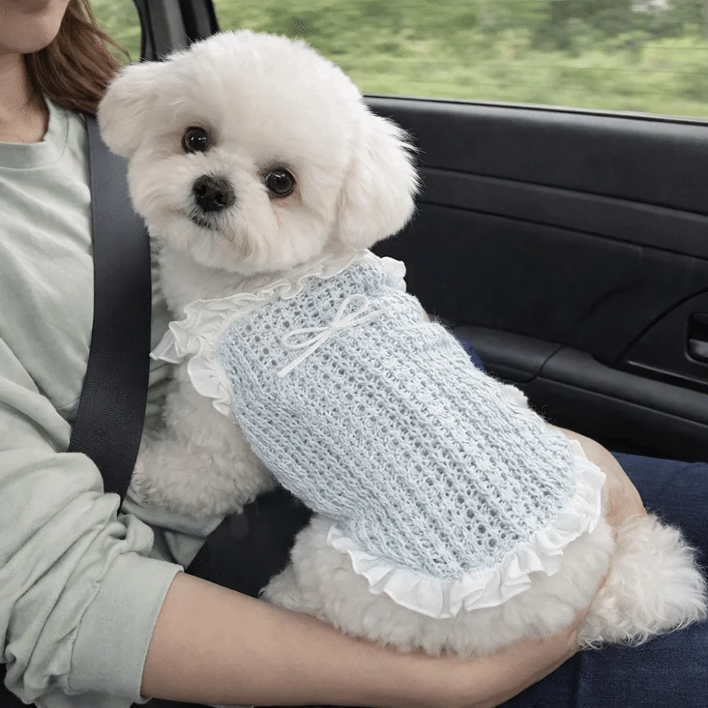 Pet Shirt Thin Fabric Pet Mesh Vest Breathable Hollow Dog Cooling Vest Bow Design Pet Tank Top Sleeveless Dog Vest Summer
Pet Shirt Thin Fabric Pet Mesh Vest Breathable Hollow Dog Cooling Vest Bow Design Pet Tank Top Sleeveless Dog Vest Summer